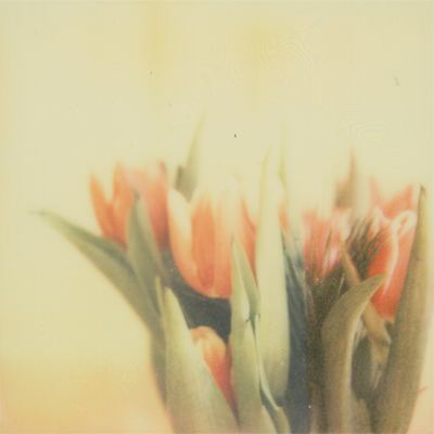 impossible project px 680 color shade gold edition