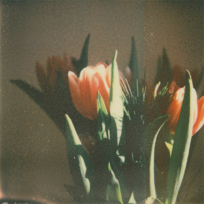 impossible project px  70 color shade
