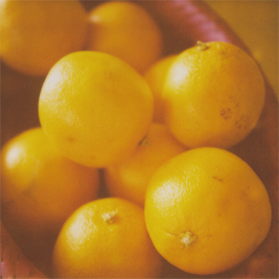 i love oranges again! i love oranges again!
