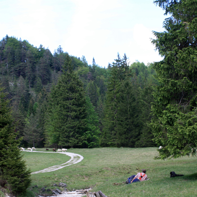 mittenwald, de mittenwald, de