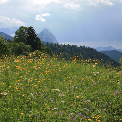 mittenwald, de